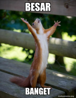 Happy Squirrel