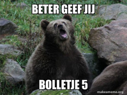 Sarcastic Bear
