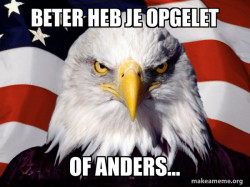 American Pride Eagle