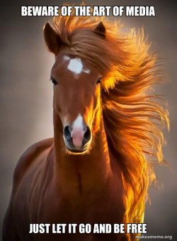 Ridiculously photogenic horse