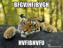 Confession Tiger