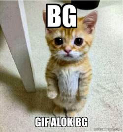 Cute Cat Standing
