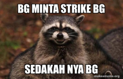 Evil Plotting Raccoon