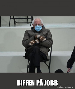 Bernie Sanders at the Inauguration