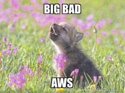 Baby Insanity Wolf