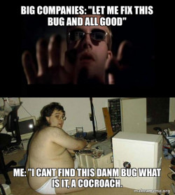 Bugs
