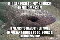 Dirty Joke Dogfish