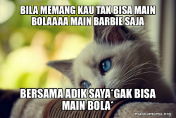 First World Cat Problems