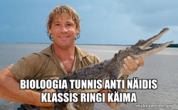 Steve irwin