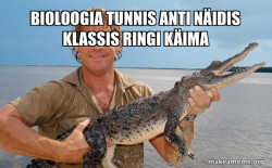 Steve irwin