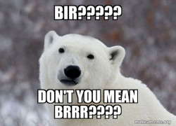 Popular Opinion Polar Bear