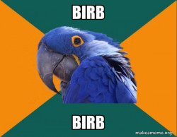 Paranoid Parrot