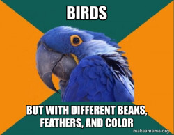 Paranoid Parrot