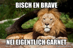 Contemplative Lion