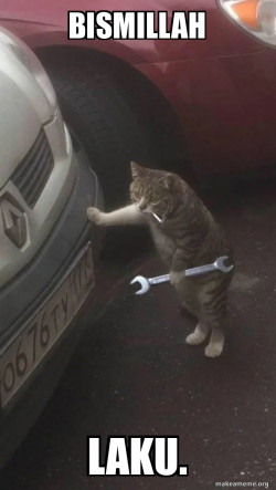 Mechanic Cat