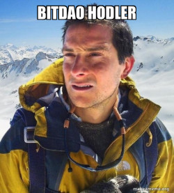 Bear Grylls