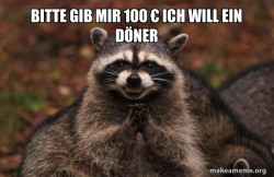 Evil Plotting Raccoon
