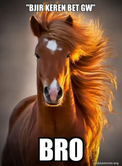 Ridiculously photogenic horse