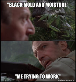 Clever Girl