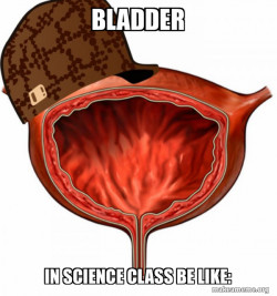 Scumbag Bladder