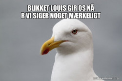 Stuff That Didn't Happen Seagull
