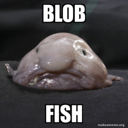 Blobfish