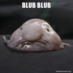 Blobfish