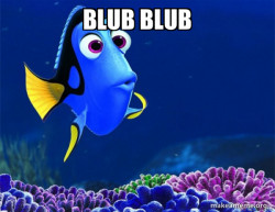 Dory from Nemo  (5 second memory)