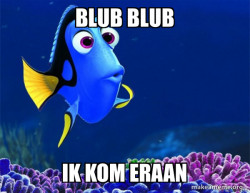 Dory from Nemo  (5 second memory)