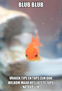 Grumpy Fish