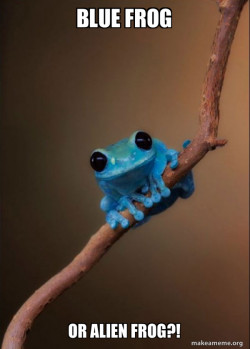 Blue frog or alien frog