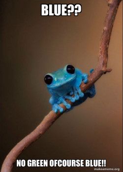 Small Fact Frog