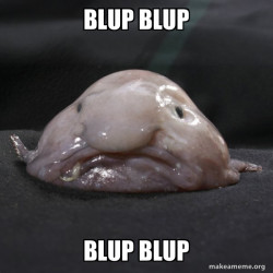 Blobfish