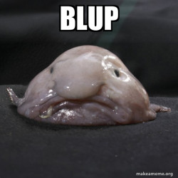 Blobfish