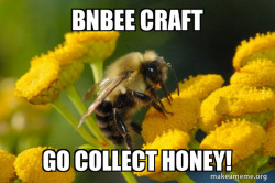 Good Guy Bee