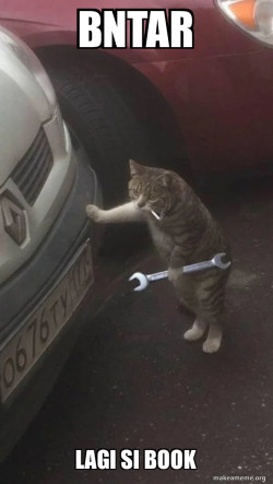 Mechanic Cat