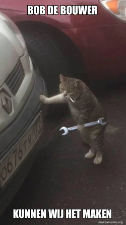 Mechanic Cat