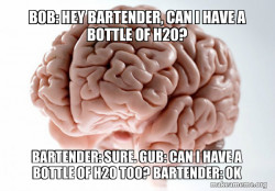 Scumbag Brain
