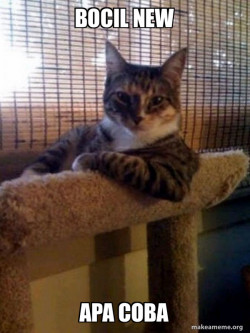 The Most Interesting Cat in the World
