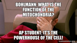 Picard Facepalm
