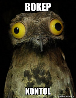 Weird Stuff I do Potoo