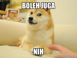 Doge