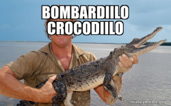 Steve irwin