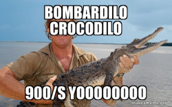 Steve irwin