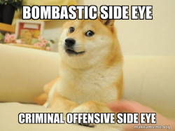 doggy side eye