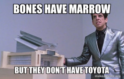 Center for Ants (Zoolander)