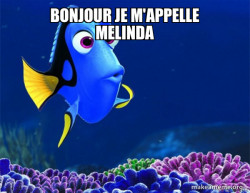 Dory from Nemo  (5 second memory)