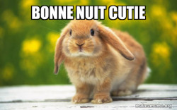 Regretful Rabbit