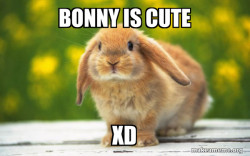 Regretful Rabbit