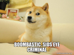 Doge